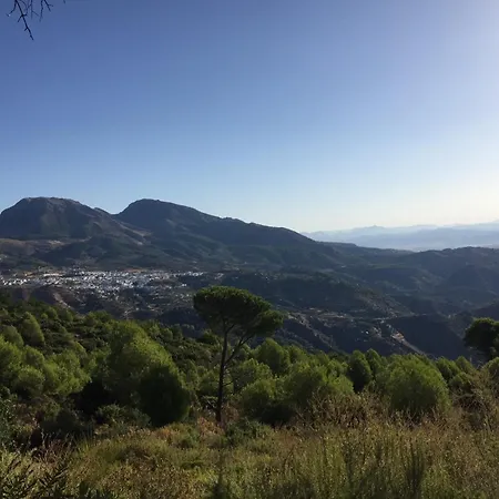 La Pura Vida Yunquera