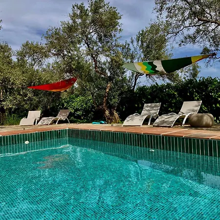 La Pura Vida Yunquera